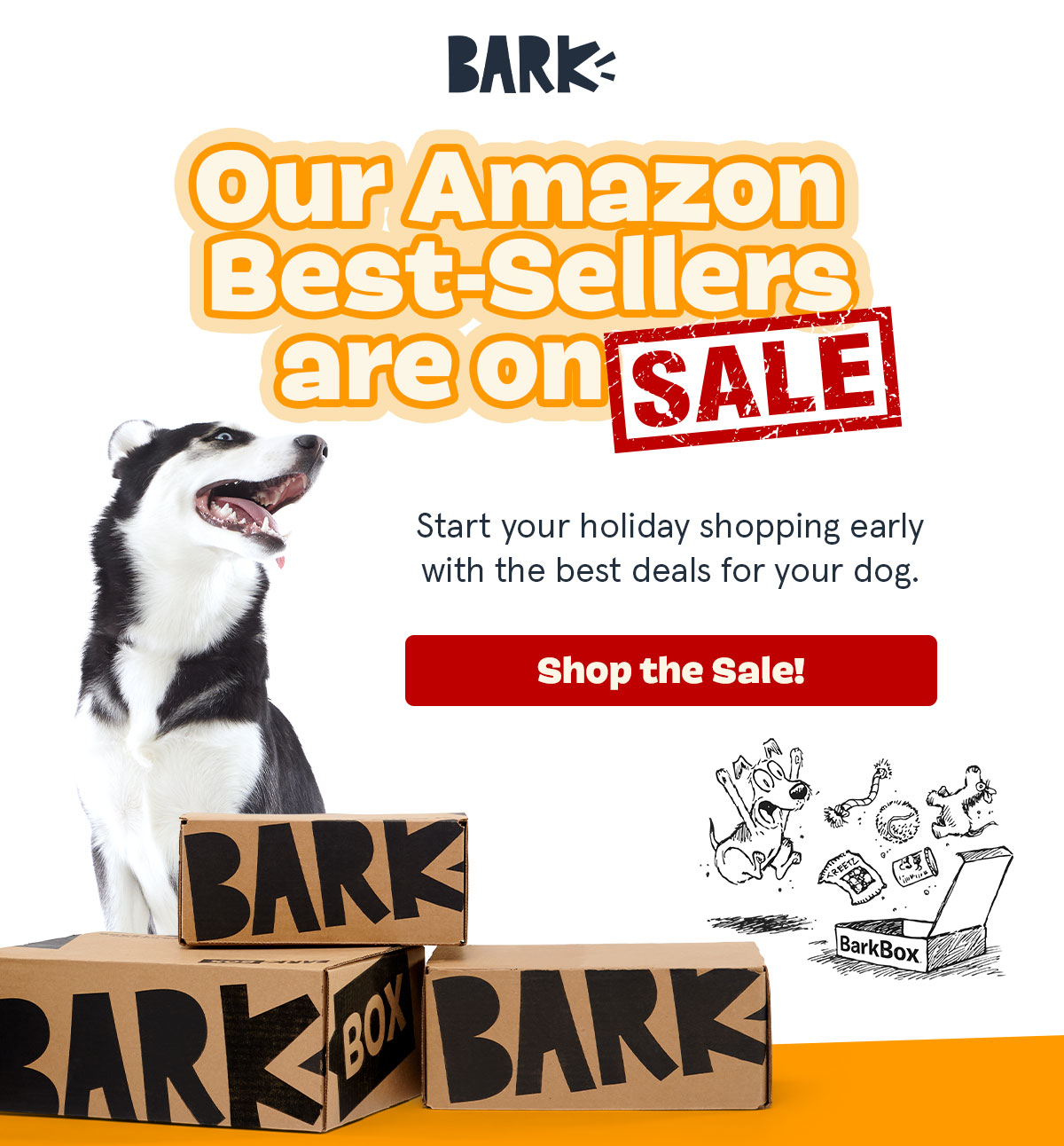 Barkbox sale outlet